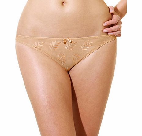 Womens Nude Panache Tango Deep Briefs, nude