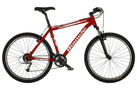 Bianchi Doss 4800 2008 Mountain Bike