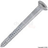 Bags 2` Chrome Plated Mirror Screws