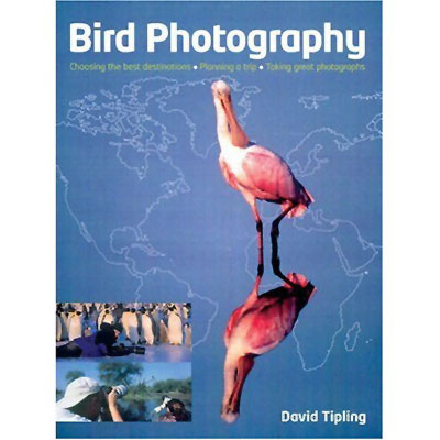 Bird Photography