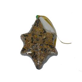 Seed Decoration Star