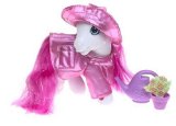 My Little Pony - Rain or Shine With Star Swirl