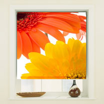 orange & lemon
