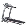 Olympian Treadmill