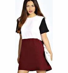 Lola Colour Block Shift Dress - plum azz22824