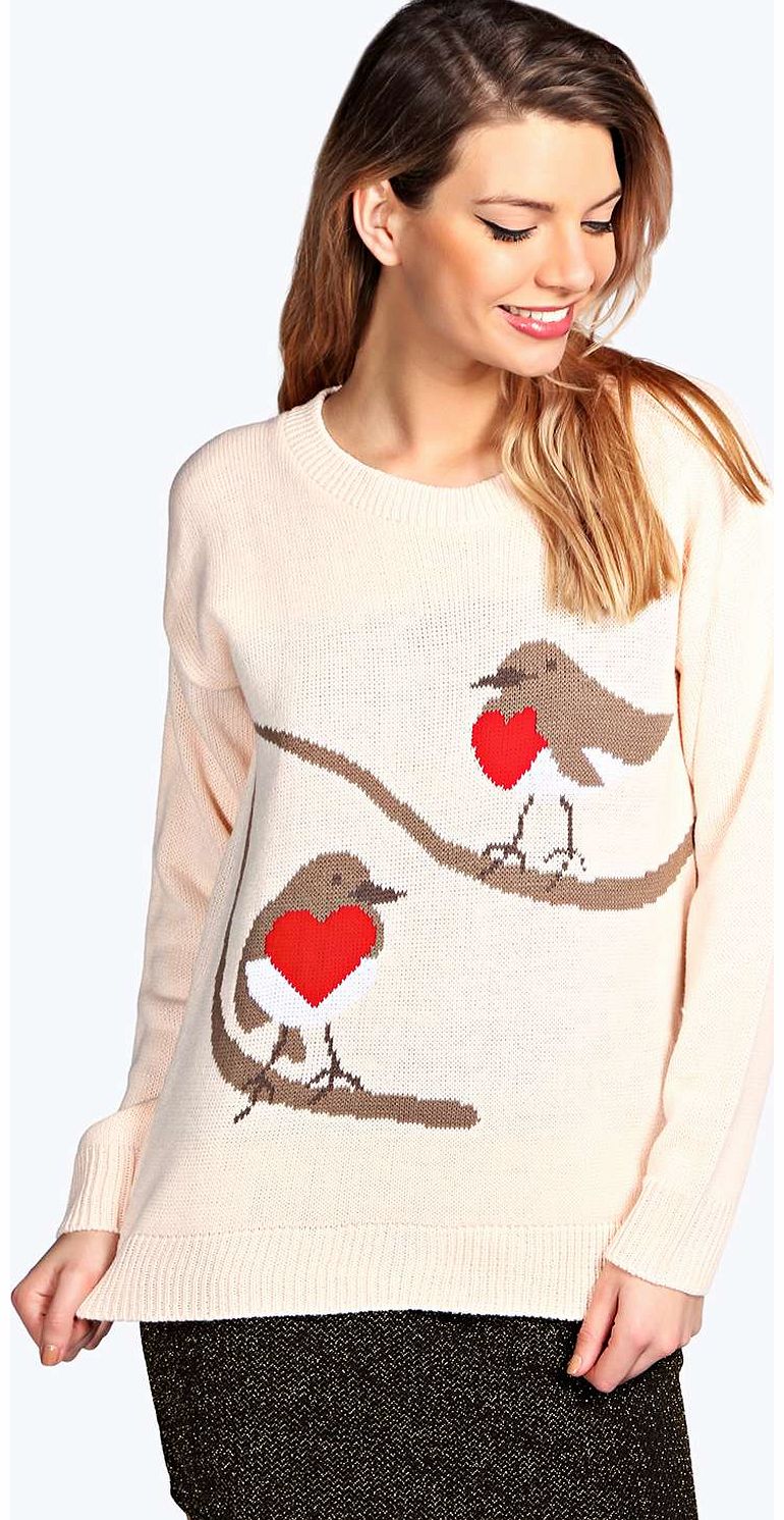 Robin Red Breast Jumper - nude azz14831