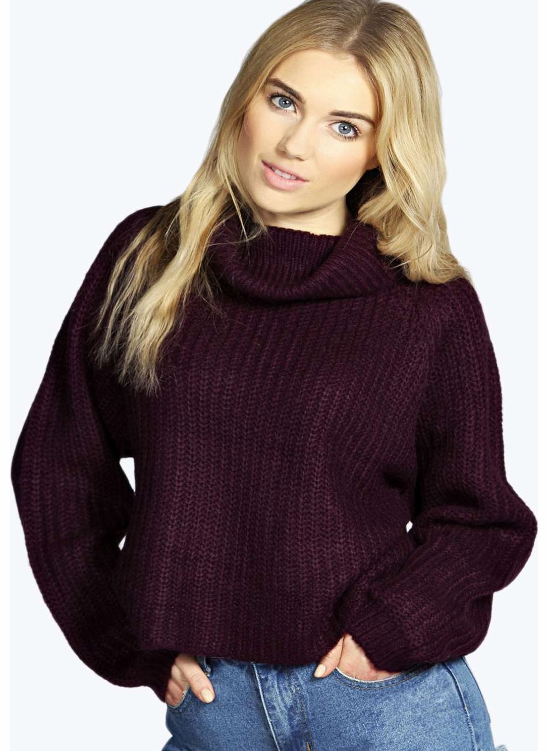 Rosie Roll Neck Soft Knit Jumper - aubergin