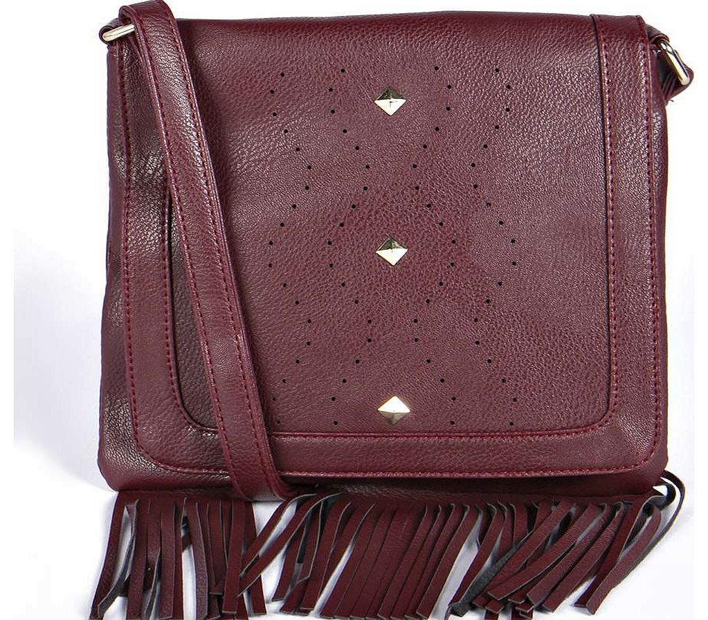 boohoo Zoe Stud And Tassel Cross Body Bag - berry