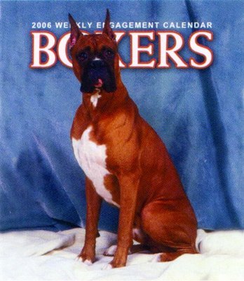 Boxer Weekly Engagement Calendar