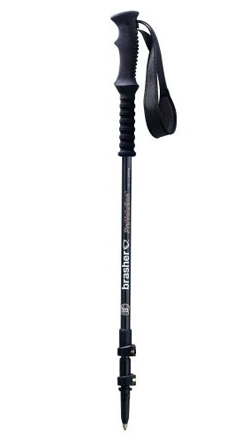 PROVOLUTION CARBON POLE - SINGLE