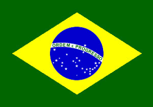 Brazil paper flag, 11`` x 8``