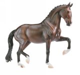 Salinero Trad Horse