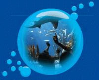 SEA LIFE Centre Child - Group Ticket