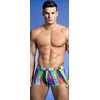 Special Effect Pixel Swim Hip Short