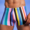 wet paint swim short