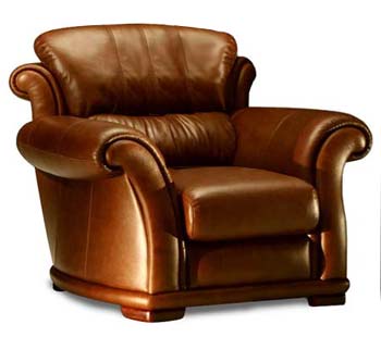 Eagle Aquarius Leather Armchair