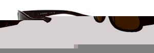 8411s Sunglasses