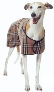 Classic Check - 30cm (12")