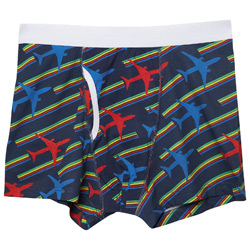 Burton 1 Pair Planes Print Trunk