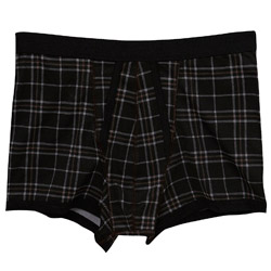 Burton 1PK Check Print Trunks