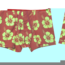 Burton 1PK Hibisucs Trunks