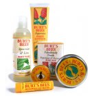 Burts Bees Minty Fresh Gift Set