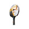 Timo Boll Gold Table Tennis Bat