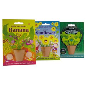 GROW YOUR OWN BANANA PLANT G91