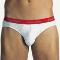 CALVIN KLEIN mens briefs