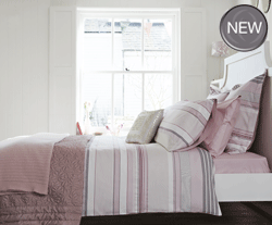 candy Stripe Pink