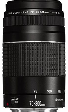 Canon EF 75-300mm f/4.0-5.6 III Lens