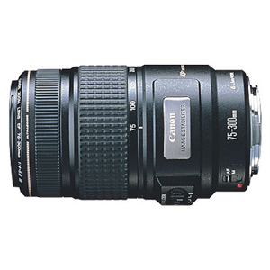 Canon EF 75300 USM III