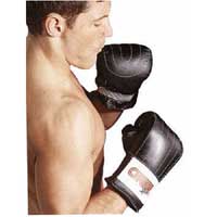 Boxing Mitts Medium