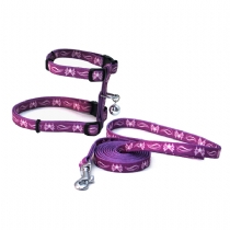 It Adjustable Harness and Leash Set