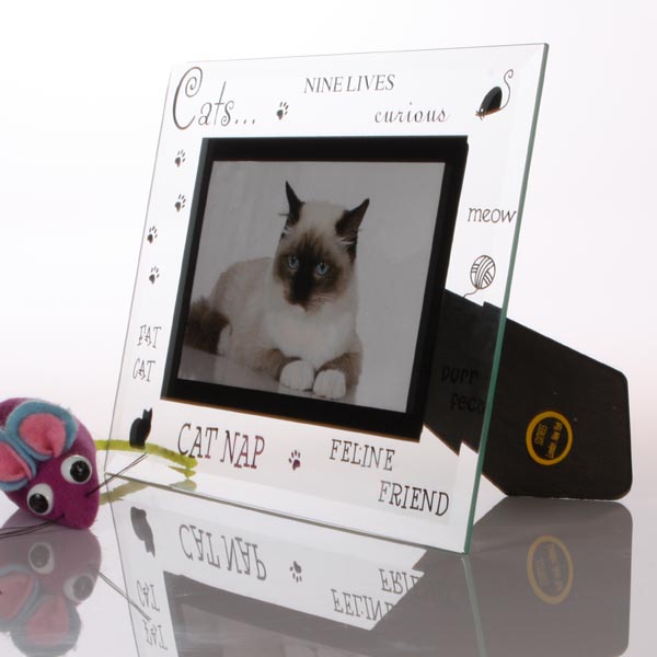 Cat Photo Frame