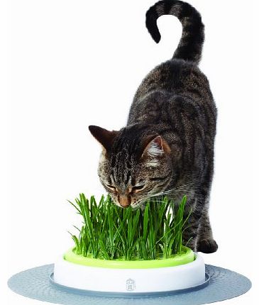 Catit Senses Grass Garden