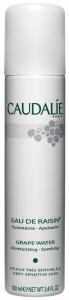Caudalie GRAPE WATER (100ml)