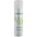SUPERSIZE GRAPE WATER (200ML)