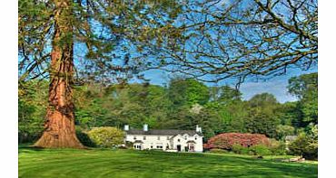 Hotel Break at Ynyshir Hall