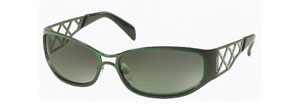 4110b Sunglasses