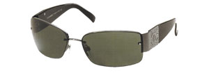 4117B Sunglasses