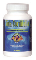 Sida Cordifolia (Dorian Yates)