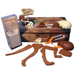 Activity Box - Dinosaur Exploration Case