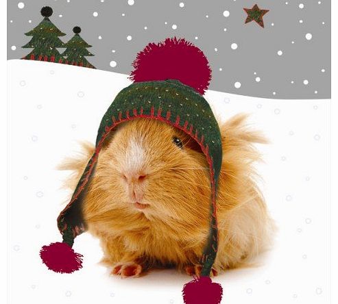 Christmas cards Crazy Christmas Guinea Pigs Luxury Christmas Cards Pack