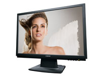 C2202 PC Monitor