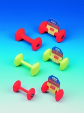 Training Dumbbell