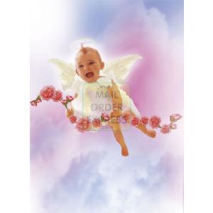 Clementoni V TS Angel Face 500 Piece Puzzle