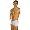 Clever Moda cotton mesh boxer brief