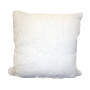 Changing Moonlight Cushion