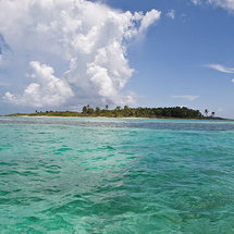 Ship Cruise To Contoy Island Nature